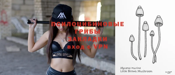эйфоретик Нефтегорск