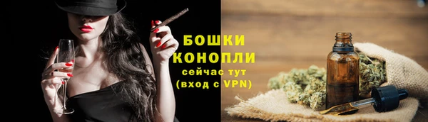 spice Нея