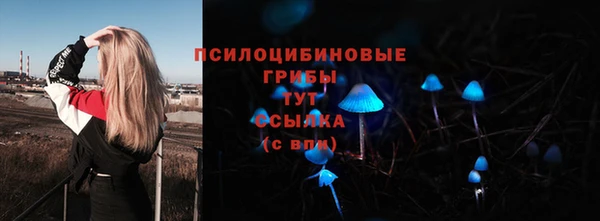 трава Нефтекумск