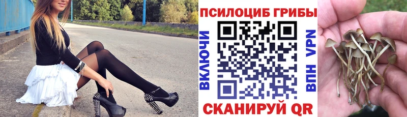 даркнет наркотические препараты  Тихорецк  Галлюциногенные грибы Magic Shrooms 