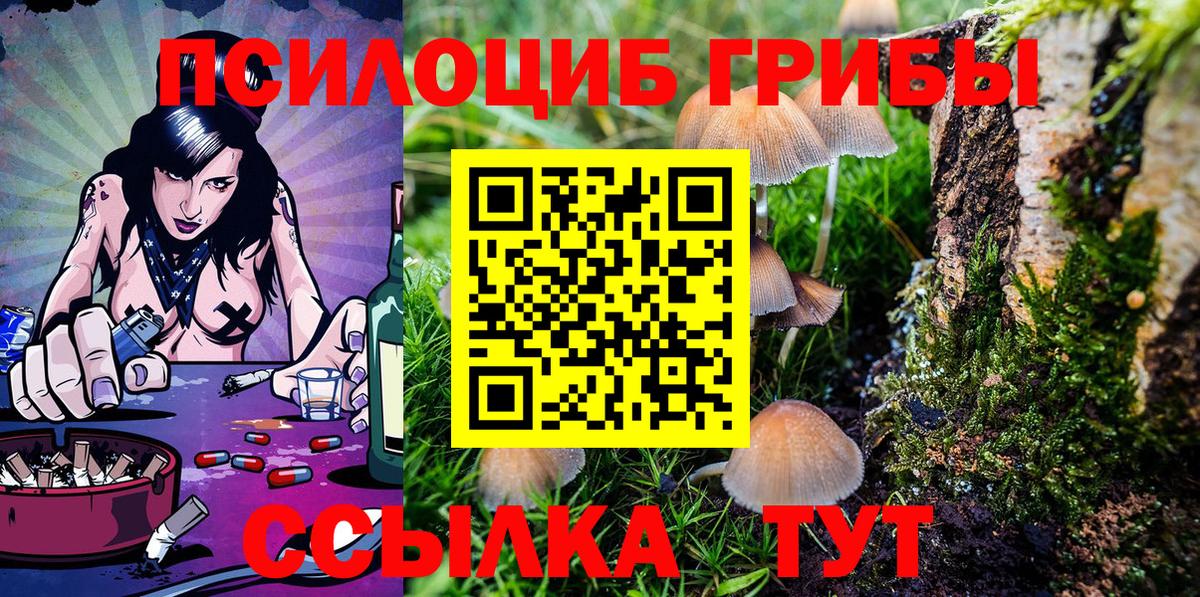 Тихорецк  сколько стоит  Псилоцибиновые грибы MAGIC MUSHROOMS  Вход с VPN  Галлюциногенные грибы мухоморы 